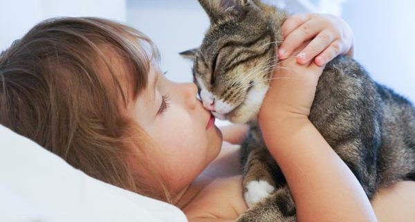 Cat-kissing-child-shutterstock_159490340-600×321